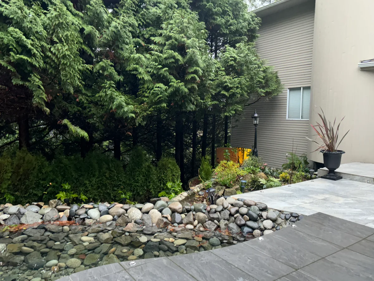 Close rock-wall assembly stage, then finished stone walkway and rock bed against the cedar hedge.